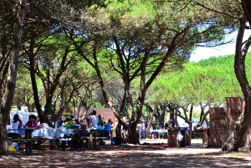 Parco di picnic con gli alberi e la griglia immagine stock Parco di picnic con gli alberi e la griglia immagine stock