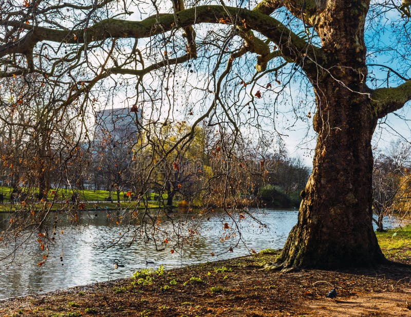 Parco di San Giacomo nel centro di Londra fotografie stock libere da diritti Parco di San Giacomo nel centro di Londra fotografie stock libere da diritti