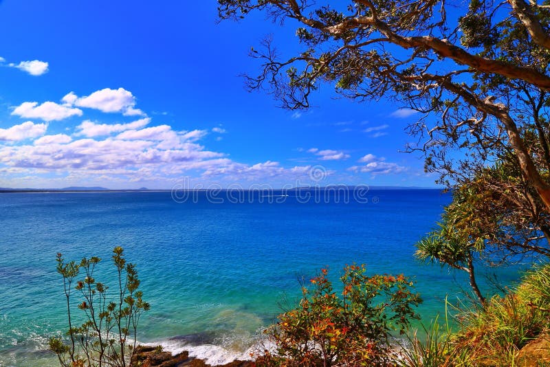 Parco nazionale di Noosa, Australia immagini stock libere da diritti Parco nazionale di Noosa, Australia immagini stock libere da diritti