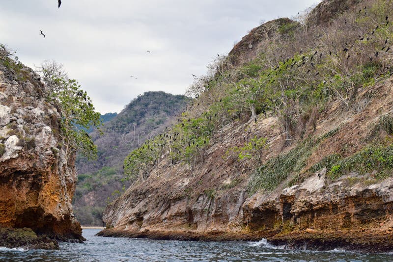 Parco nazionale Vallarta Undersea o Los Arcos Marine Park Las Peñas o le rocce di arché, con una grande varietà di includi degli fotografia stock Parco nazionale Vallarta Undersea o Los Arcos Marine Park Las Peñas o le rocce di arché, con una grande varietà di includi degli fotografia stock