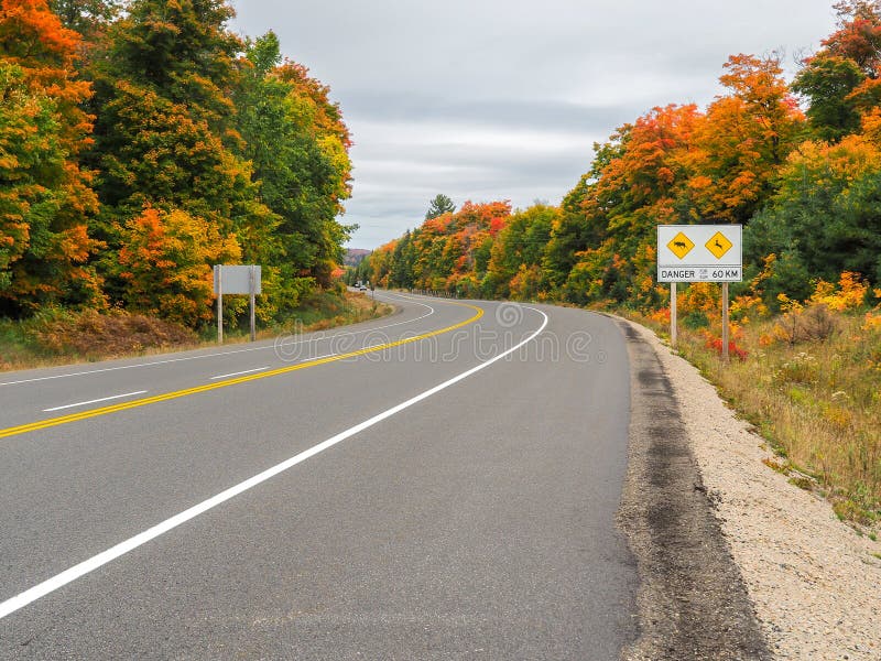Parco provinciale Hyway 60 del Algonquin in Autumn Fall Colors fotografia stock Parco provinciale Hyway 60 del Algonquin in Autumn Fall Colors fotografia stock