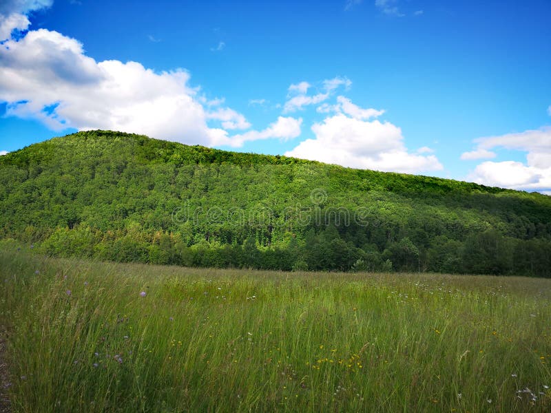 Parco verde con cielo azzurro e nuvole bianche immagini stock Parco verde con cielo azzurro e nuvole bianche immagini stock
