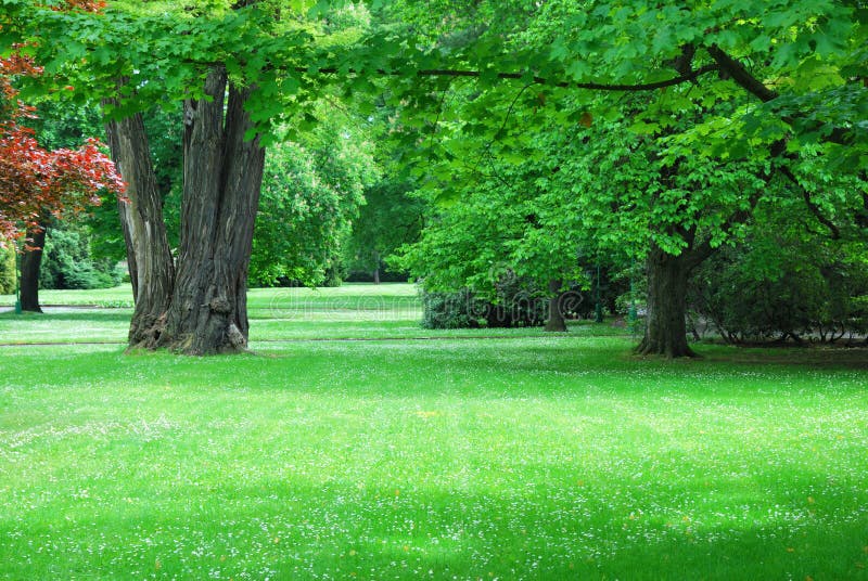 Parco giardino urbano verde in primavera immagine stock