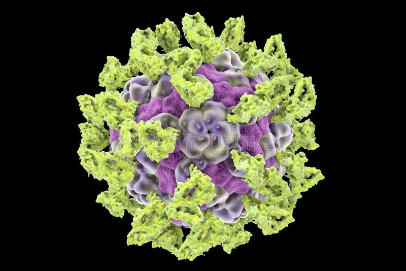 Parechovirus con le molecole allegate di integrina