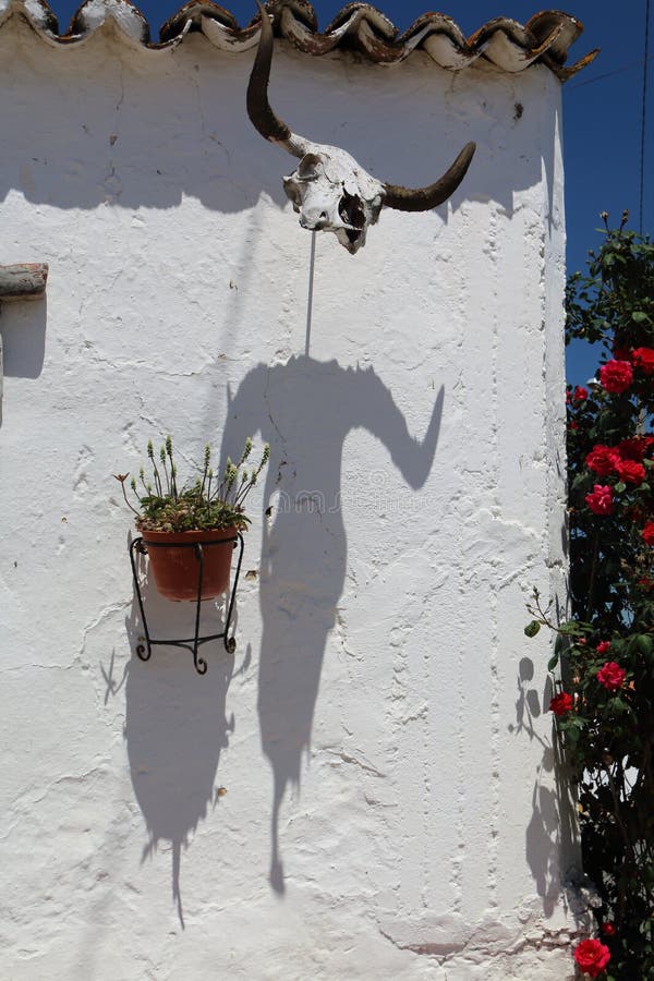 Pared adornada con el cráneo del toro y su sombra foto de archivo Pared adornada con el cráneo del toro y su sombra foto de archivo