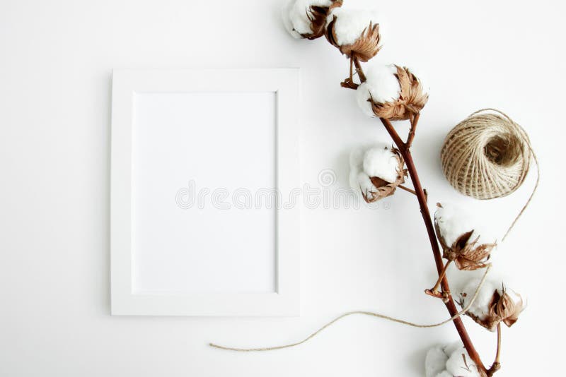 White wall and dark tree decoration Modern frames desk home decoration with frame photo and mock up white frame and dry twigs in vase on book shelf or desk in white room. White wall and dark tree decoration Modern frames desk home decoration with frame photo and mock up white frame and dry twigs in vase on book shelf or desk in white room