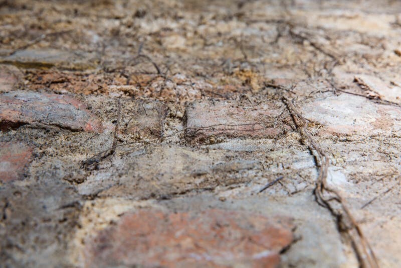 Pared de ladrillo vieja en un fondo fotografía de archivo Pared de ladrillo vieja en un fondo fotografía de archivo