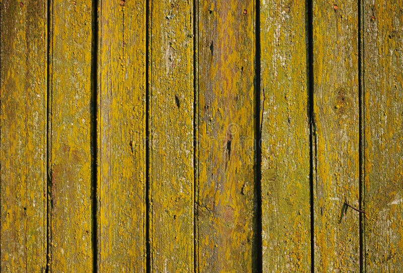 Pared de madera verde clara y amarilla de tableros imágenes de archivo libres de regalías Pared de madera verde clara y amarilla de tableros imágenes de archivo libres de regalías