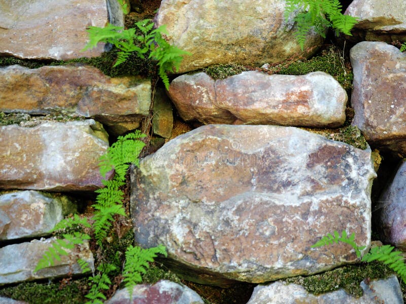 Pared de piedra de una casa vieja, albañilería vieja con el helecho y musgo Textura, cantería imagenes de archivo Pared de piedra de una casa vieja, albañilería vieja con el helecho y musgo Textura, cantería imagenes de archivo