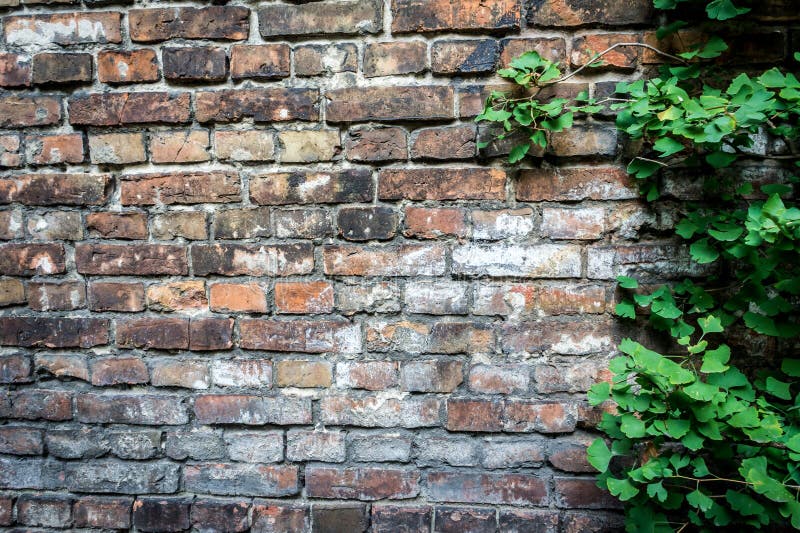 Pared del ghetto de Varsovia, Polonia fotos de archivo Pared del ghetto de Varsovia, Polonia fotos de archivo