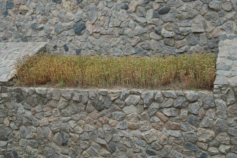 Muro De Pedra Rústica Com Vegetação Crescendo Sobre Ele Foto de Stock -  Imagem de espalhar, verde: 204125440