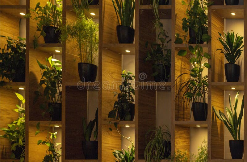 Parede das prateleiras com as flores no potenciômetro retroiluminado das lâmpadas interior imagens de stock royalty free Parede das prateleiras com as flores no potenciômetro retroiluminado das lâmpadas interior imagens de stock royalty free