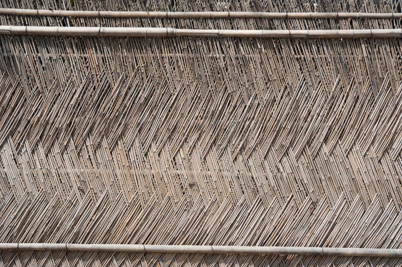 Parede de bambu imagem de stock royalty free Parede de bambu imagem de stock royalty free