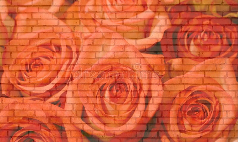 Roses brick wall background. Many old bricks . Roses brick wall background. Many old bricks .