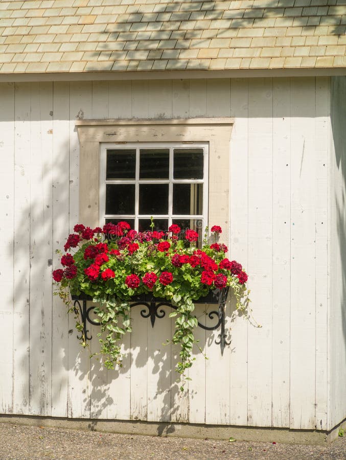 A white building with a window and flowers hanging from the window box planter. A white building with a window and flowers hanging from the window box planter.
