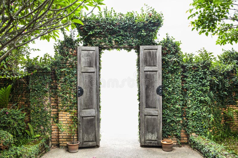 Parede e porta verdejantes foto de stock royalty free