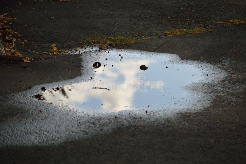 Pareidolia - face in puddle on the street looks disgruntled, confused, annoyed, or unhappy horizontal