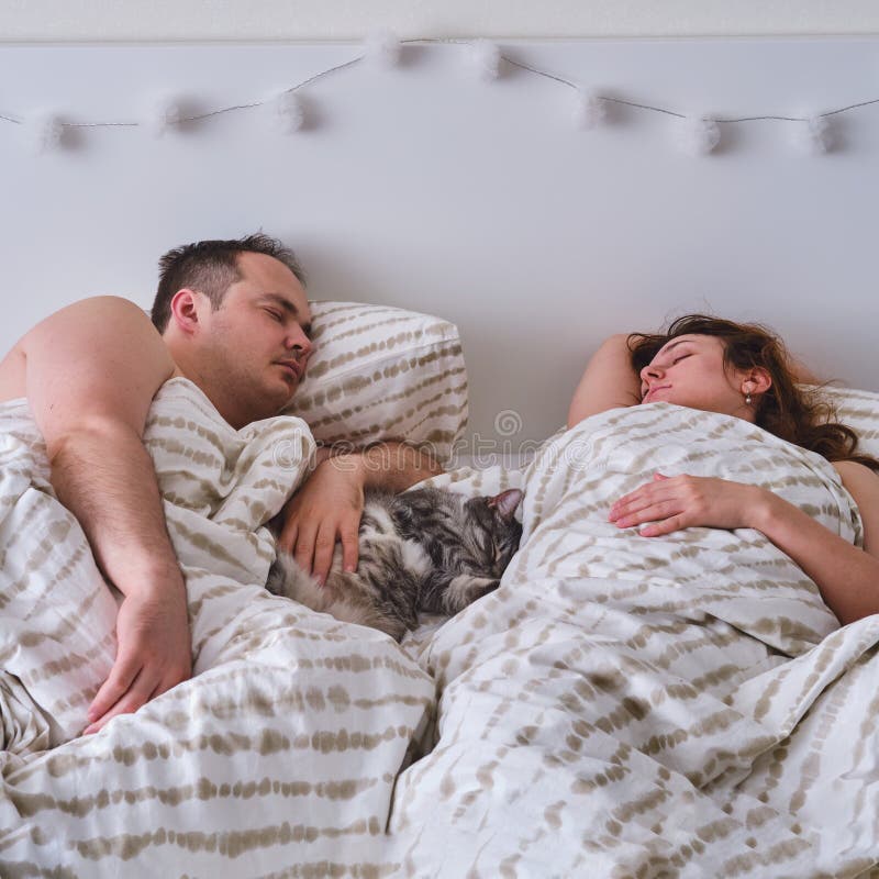 Pareja Durmiendo En La Cama Con Un Gato, Estilo De Vida Real Imagen de archivo - Imagen de gato, cierre: 198978055 Pareja Durmiendo En La Cama Con Un Gato, Estilo De Vida Real Imagen de archivo - Imagen de gato, cierre: 198978055