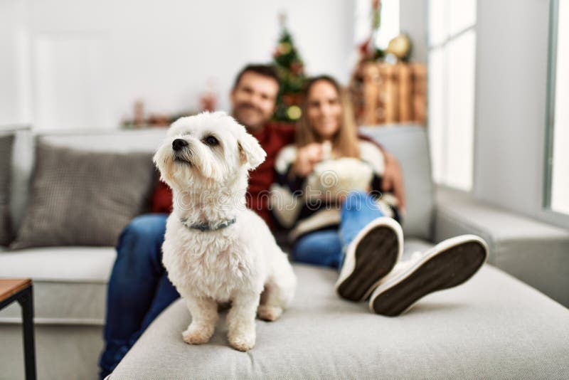 Pareja hispana joven sonriendo feliz viendo una película sentada en el sofá con un perro en casa imagen de archivo
