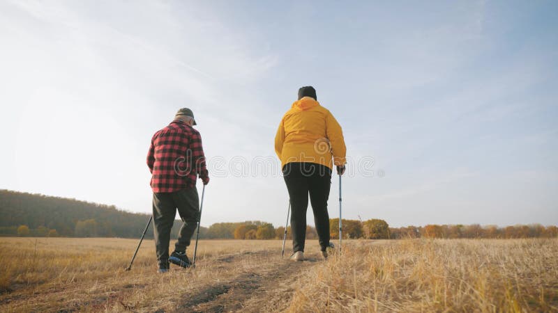 Pareja madura caminando nórdico por el camino en el prado.