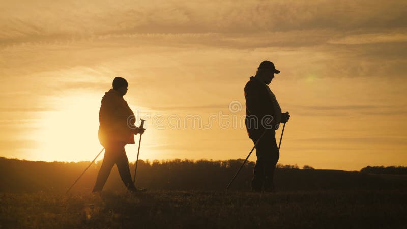 Pareja madura caminando nórdico por el camino en el prado.