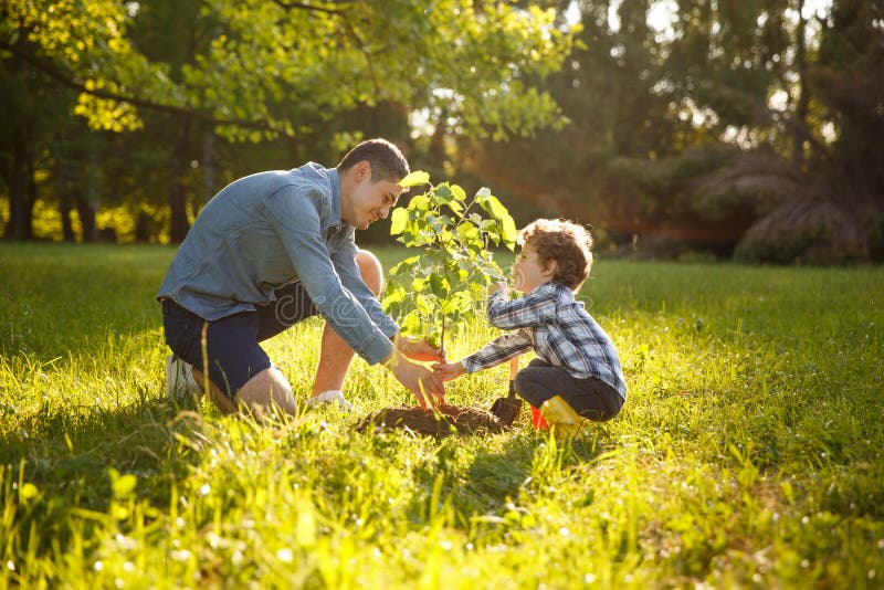 Parent and child planting tree royalty free stock photos Parent and child planting tree royalty free stock photos