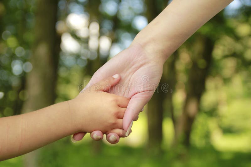 Parent holds the hand of a small child