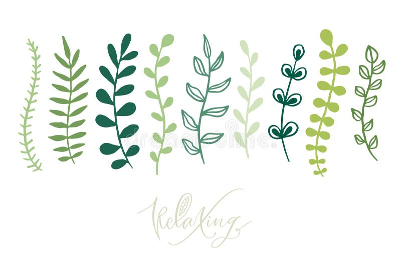 Parentesi verdi e foglie Design stampabile botanico Raccolta di sketch floreale Elementi botanici decorativi Foglie per pareti royalty illustrazione gratis
