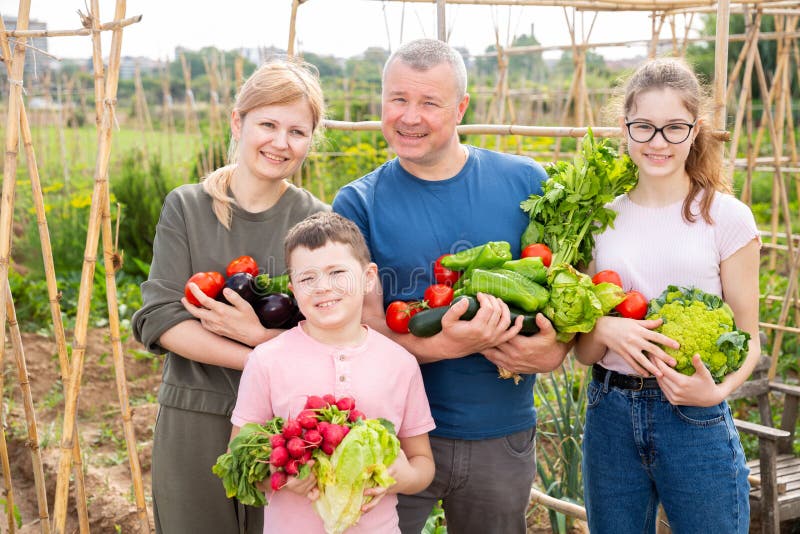 Parents with children hold ripe vegetables in their hands on field