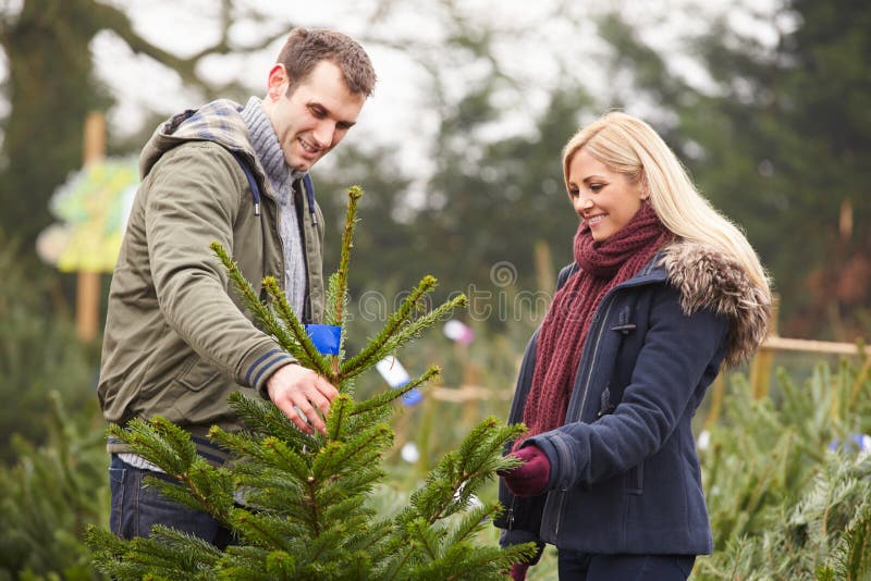 Pares al aire libre que eligen el árbol de navidad junto imagenes de archivo Pares al aire libre que eligen el árbol de navidad junto imagenes de archivo