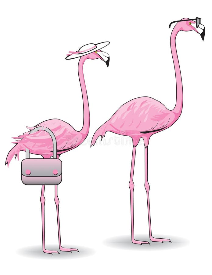 Pares cor-de-rosa do flamingo ilustração do vetor