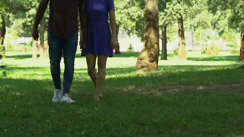 Pares da raça misturada que andam no dia de verão no parque verde bonito, guardando as mãos