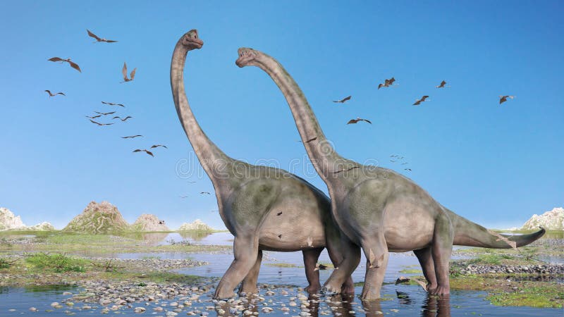 Pterossauros: 4 tipos de répteis voadores