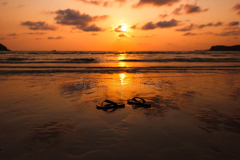 Pares de falhanços de aleta no por do sol, tempo do nascer do sol na praia fotografia de stock Pares de falhanços de aleta no por do sol, tempo do nascer do sol na praia fotografia de stock