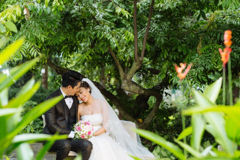 Pares de la boda en jardín fotografía de archivo Pares de la boda en jardín fotografía de archivo