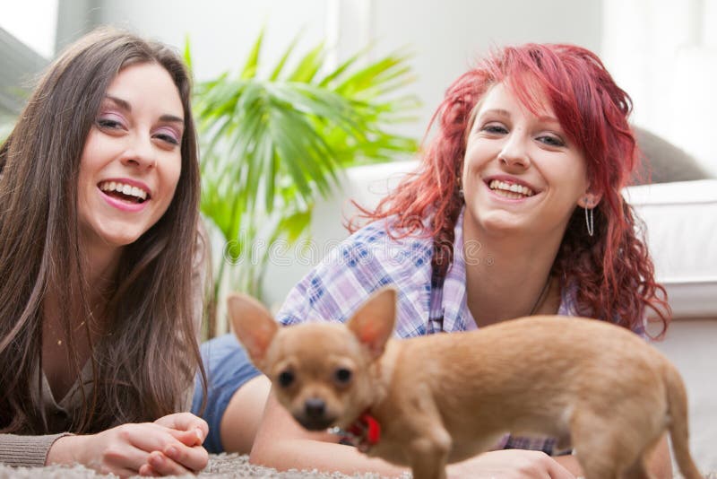 Pares de las mujeres jovenes que juegan con un pequeño perro imagen de archivo Pares de las mujeres jovenes que juegan con un pequeño perro imagen de archivo