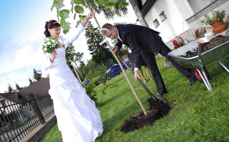 Wedding couple planting a symbolic tree in garden. Wedding couple planting a symbolic tree in garden.