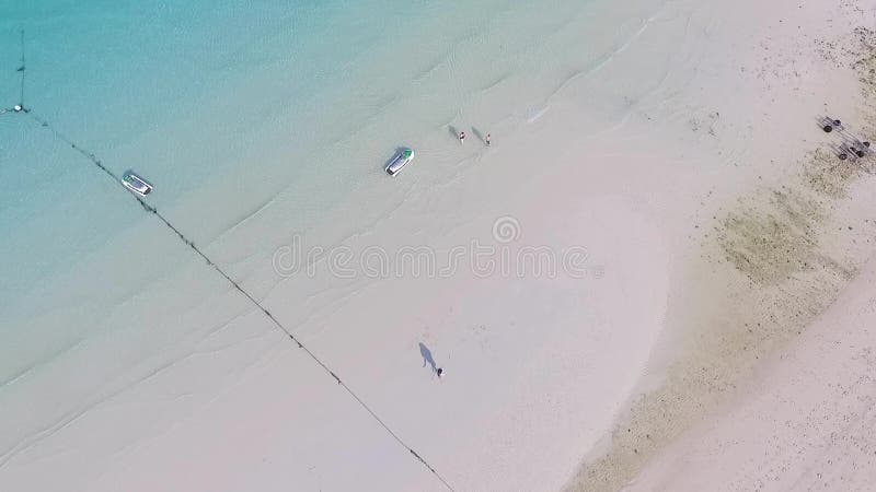 Pares felices junto en la playa Pares jovenes que se gozan en una playa Un hombre joven y una mujer que se divierten almacen de metraje de vídeo