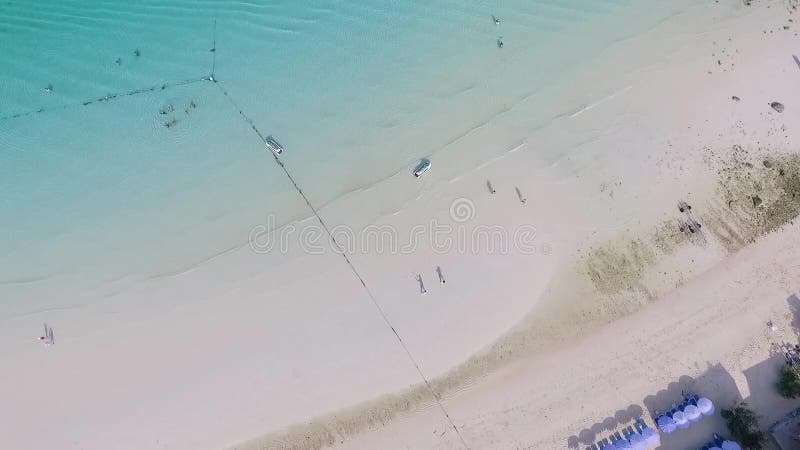 Pares felices junto en la playa Pares jovenes que se gozan en una playa Un hombre joven y una mujer que se divierten almacen de video