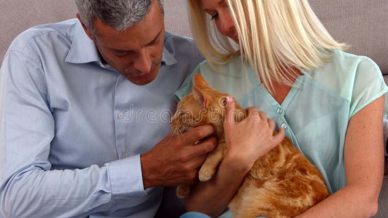 Pares felizes com seu gato video estoque