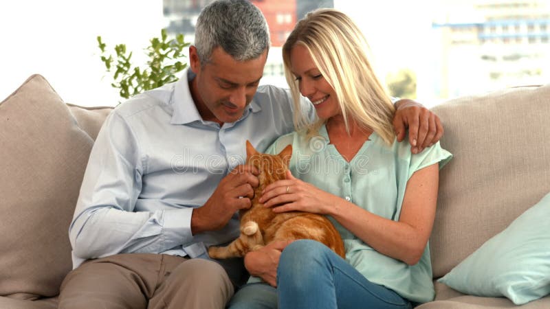 Casal feliz com o seu gato video estoque
