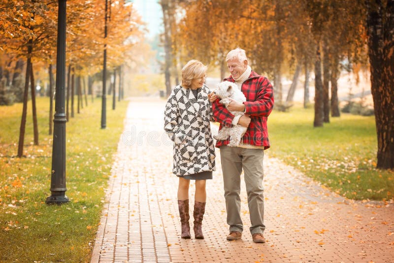 Pares idosos com o cão bonito no parque fotografia de stock Pares idosos com o cão bonito no parque fotografia de stock