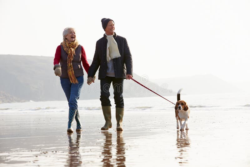 Pares mayores que caminan a lo largo de la playa del invierno con el perro casero imagen de archivo libre de regalías Pares mayores que caminan a lo largo de la playa del invierno con el perro casero imagen de archivo libre de regalías