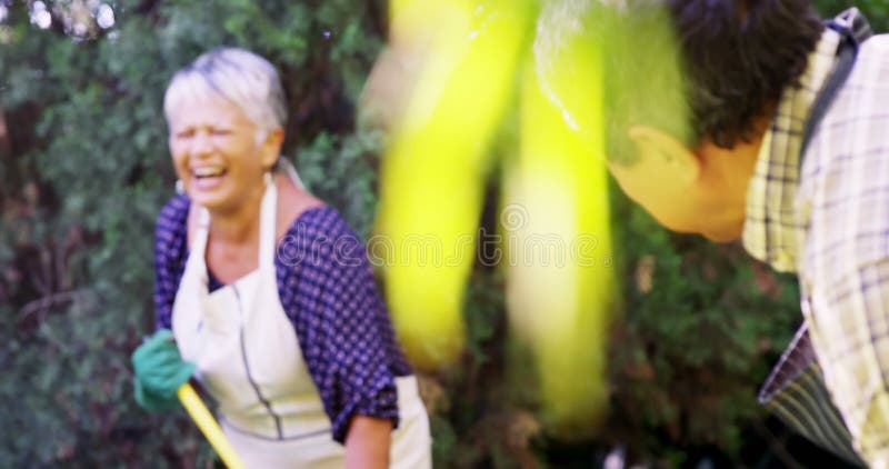 Pares mayores que cavan en el jardín almacen de video