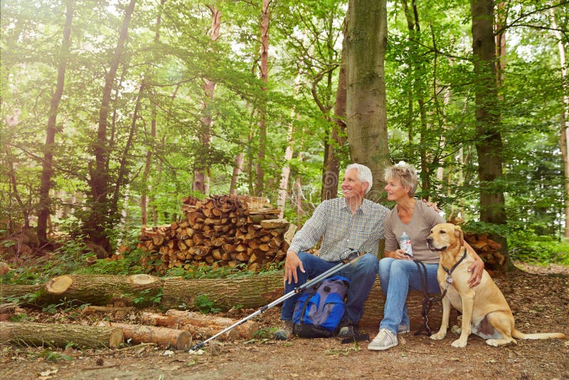 Pares mayores que se sientan en bosque imagen de archivo libre de regalías Pares mayores que se sientan en bosque imagen de archivo libre de regalías