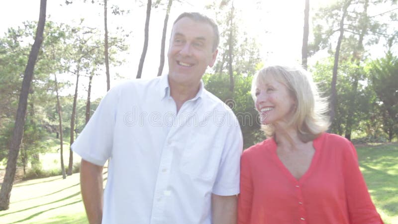 Pares mayores románticos que llevan a cabo las manos almacen de metraje de vídeo