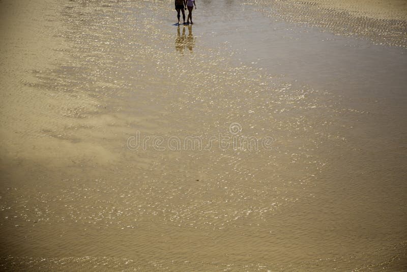 Pares na praia fotografia de stock Pares na praia fotografia de stock