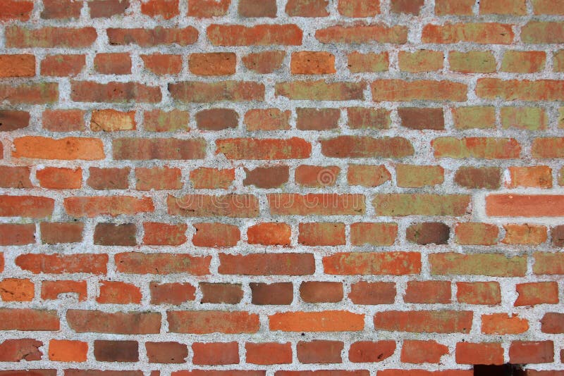 mattoni rossi parete