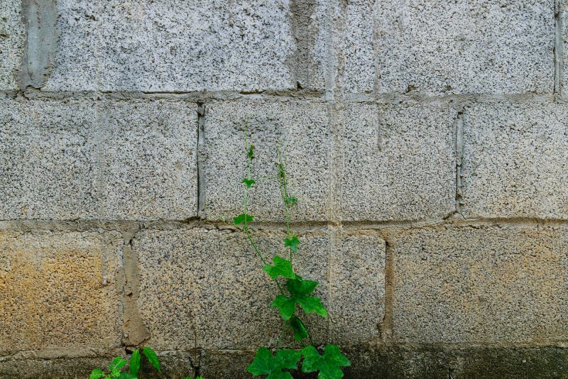 Parete di pietra d'annata variopinta fotografie stock libere da diritti Parete di pietra d'annata variopinta fotografie stock libere da diritti