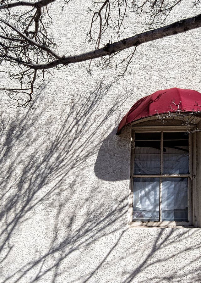 Parete e finestra dello stucco, con le ombre dell'albero fotografia stock libera da diritti Parete e finestra dello stucco, con le ombre dell'albero fotografia stock libera da diritti